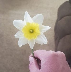 Meet your Posher, Charley